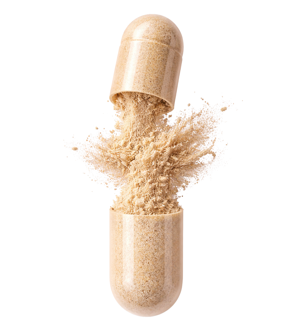Opened Dentaforte capsule with herbal powder bursting out