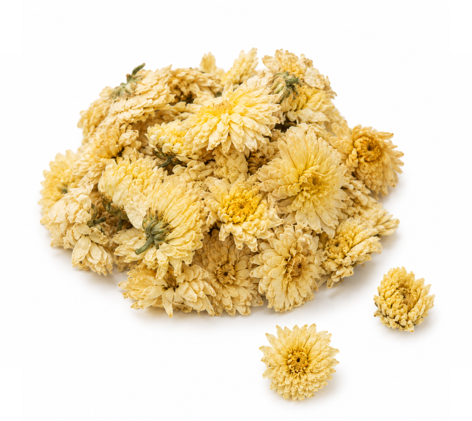 Chrysanthemum Flower Extract