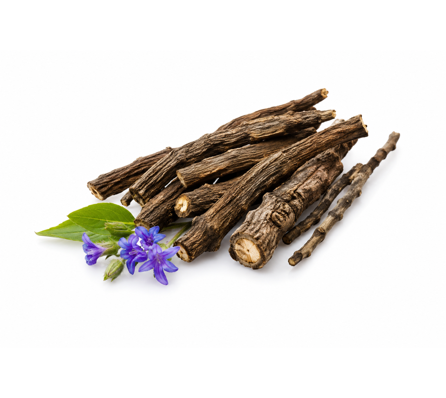 Comfrey root botanical