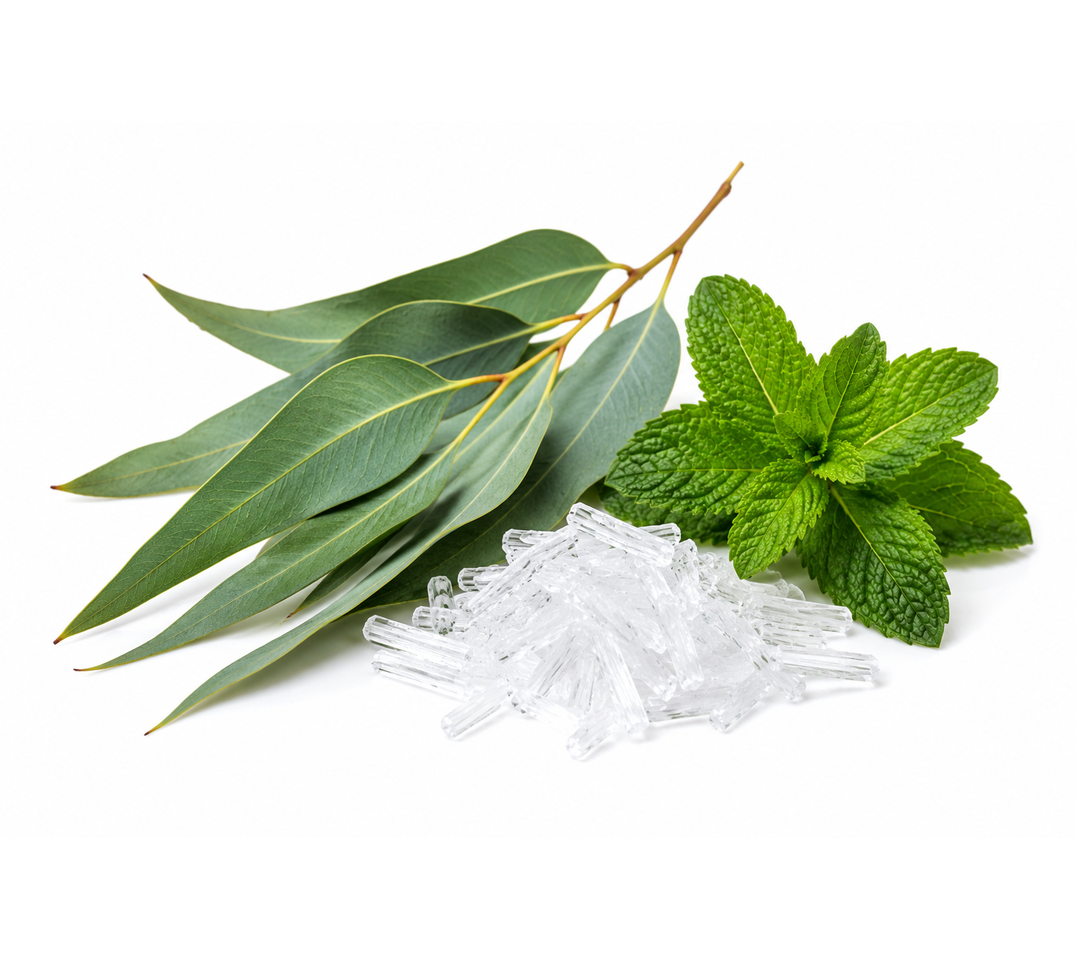Eucalyptus and menthol