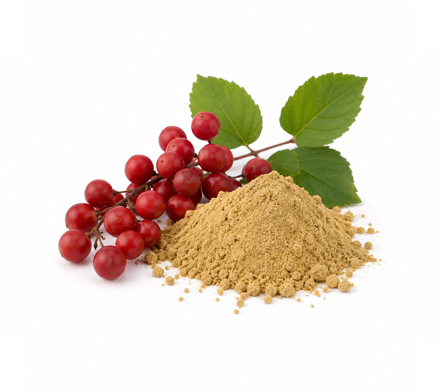 Schisandra Fruit Extract