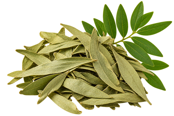A handful of dried senna leaves